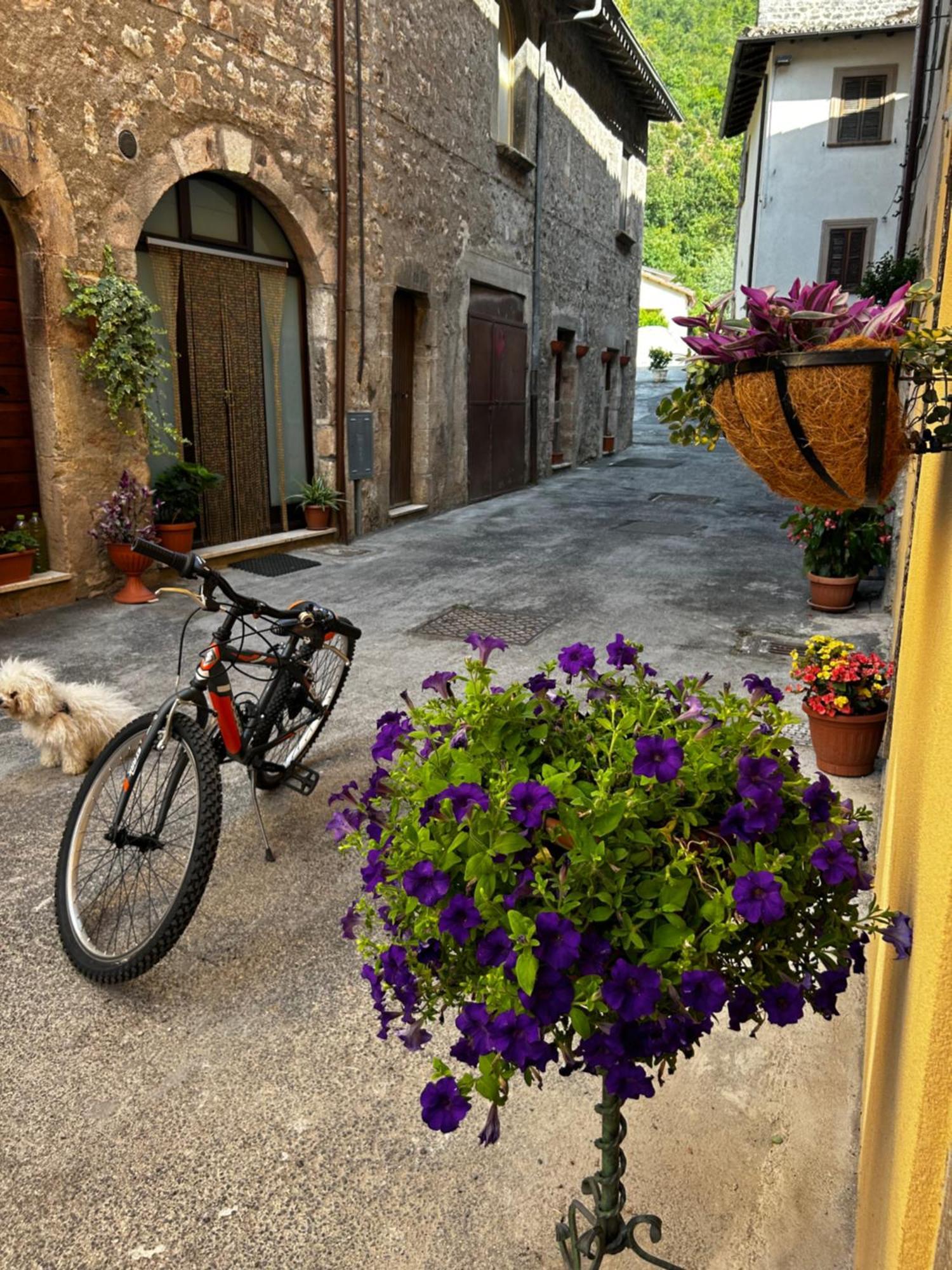 Residence Il Giardino Sul Fiume Nera Cerreto di Spoleto Exteriér fotografie